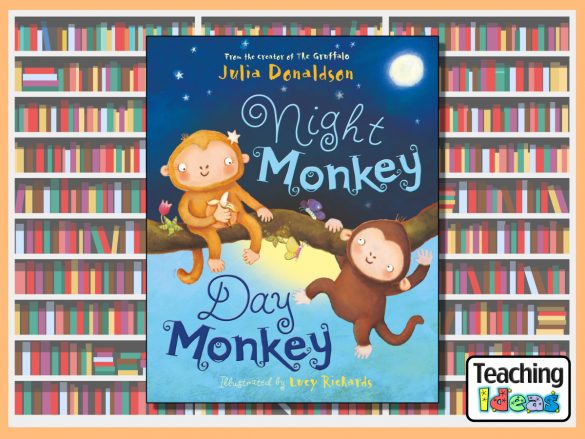 Night Monkey Day Monkey