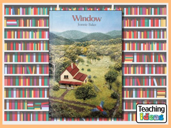 Window