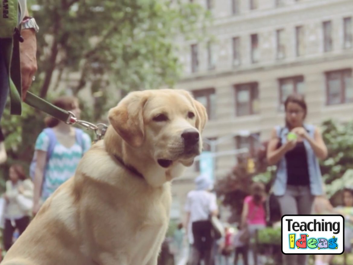 Video-TheThingAboutDogs The Thing About Dogs