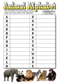 Animal Alphabet
