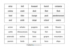 Collective Nouns Matching Activity