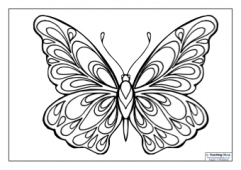 Mindfulness Colouring - Butterfly