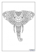 Mindfulness Colouring - Elephant
