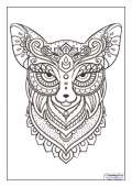 Mindfulness Colouring - Fox