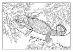 Printable Vegan Coloring Page—A Mindfulness Activity for Kids!