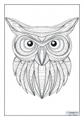 Mindfulness Colouring - Owl