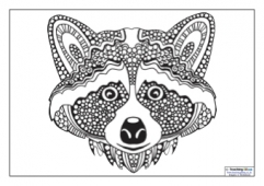 Mindfulness Colouring - Raccoon