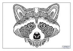 3 Nature Mindful Colouring Sheets Designs & Graphics