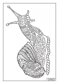 Mindfulness Colouring - Snail