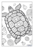 Mindfulness Colouring - Turtle