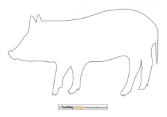 Pig Outline