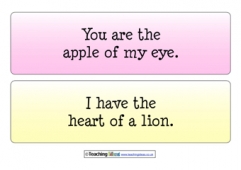 Metaphors Examples