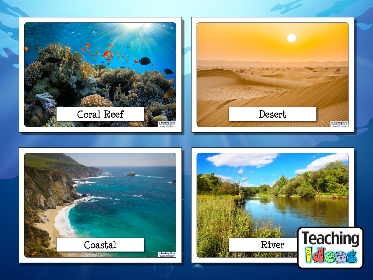 Different Habitats