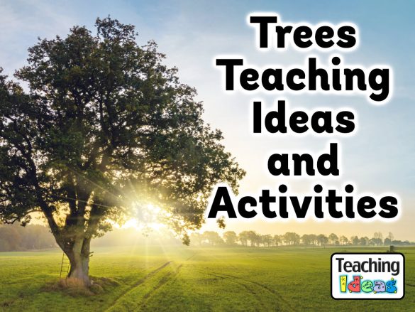 Trees Teaching Ideas and Activities
