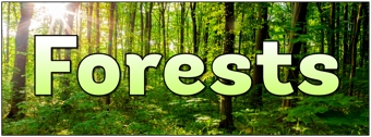Forests Banner