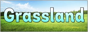 Grasslands Banner