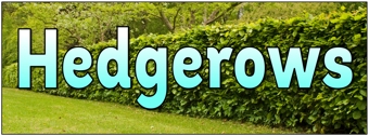Hedgerows Banner