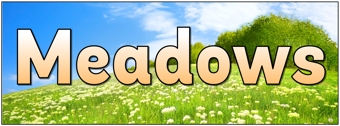 Meadows Banner