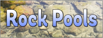 Rock Pools Banner
