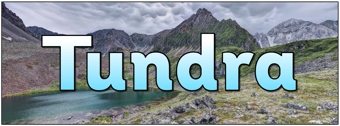 Tundra Banner