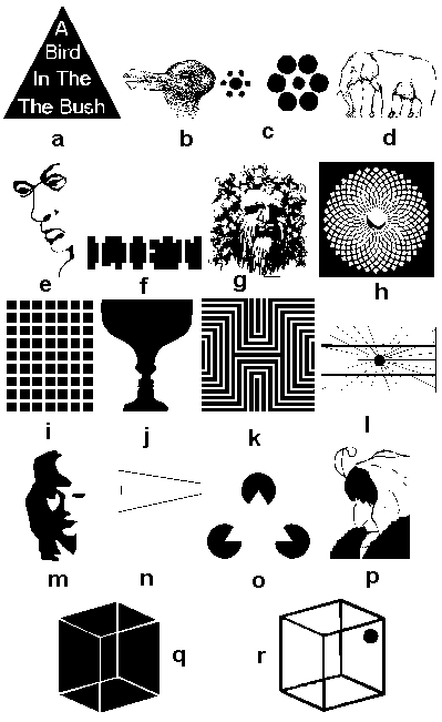 Optical Illusions