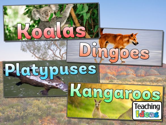 Australian Animal Banners