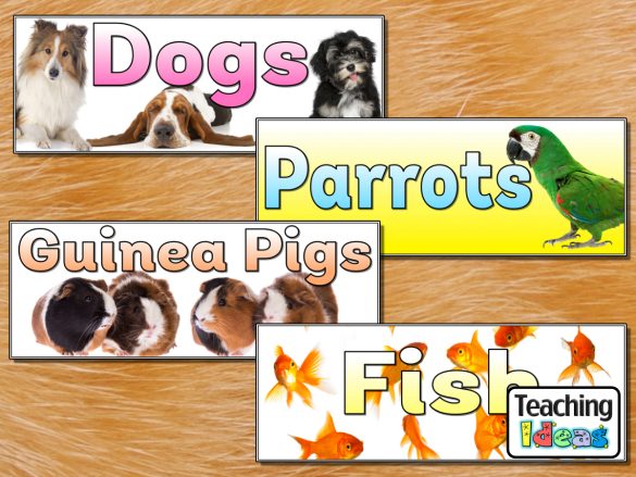 Pets Banners