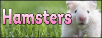 Hamsters Banner