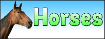 Horses Banner