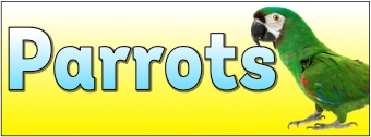 Parrots Banner