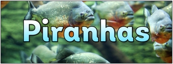 Piranhas