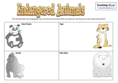 Endangered Animals Activity