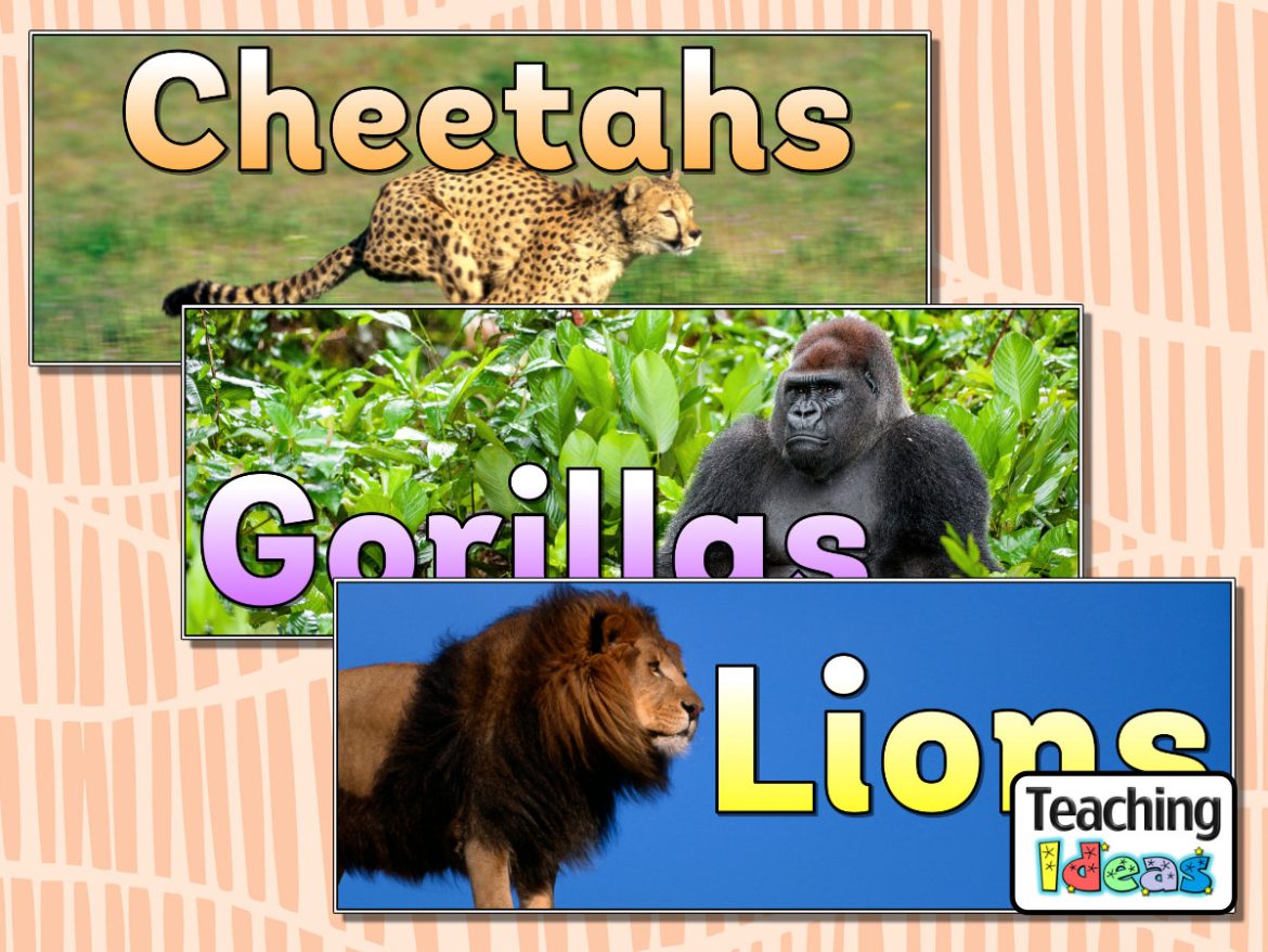 Resource-AfricanAnimalBanners