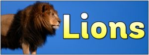 Lions Banner