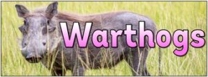 Warthogs Banner