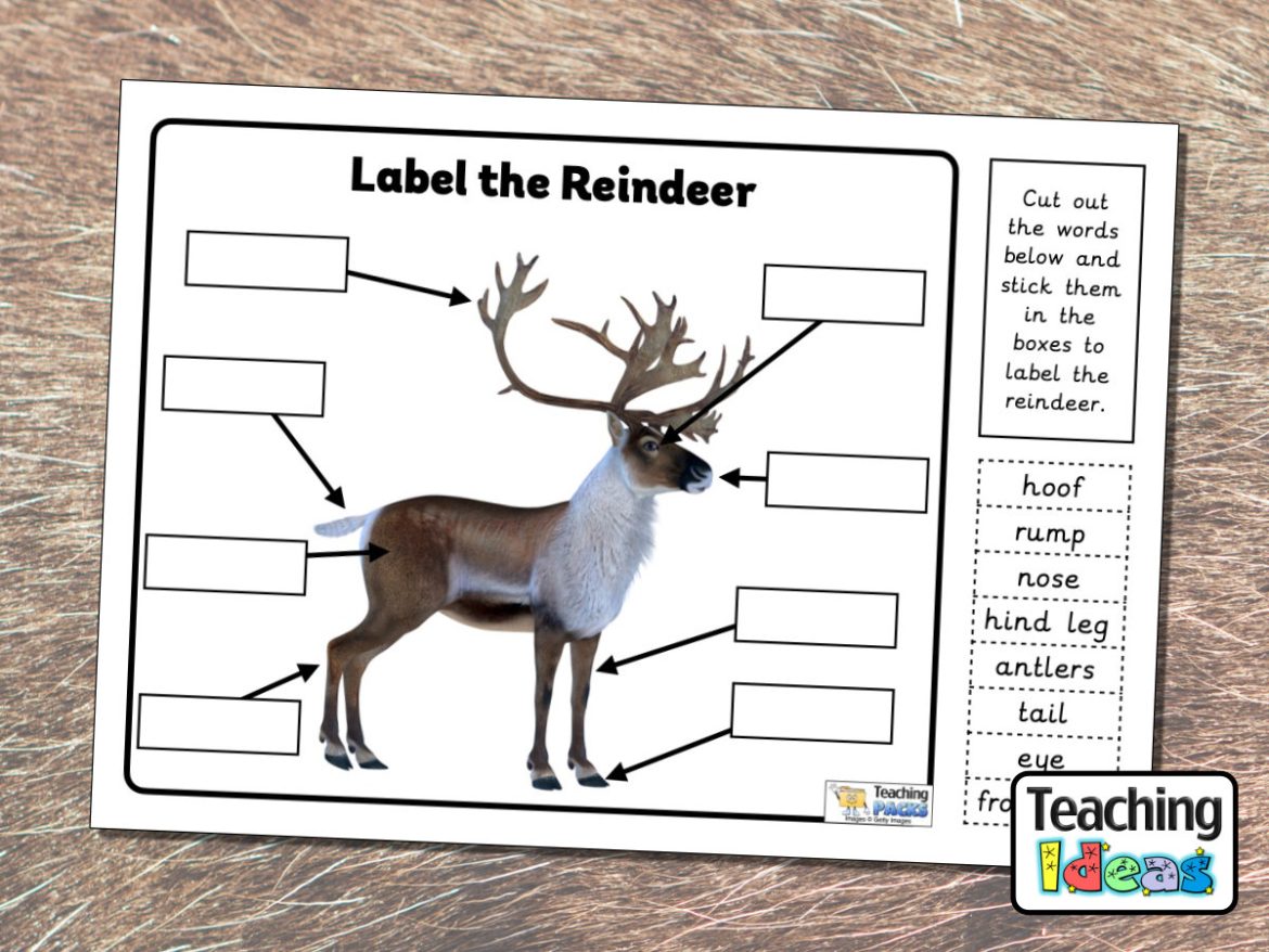 Label the Reindeer