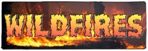 Wildfires Banner