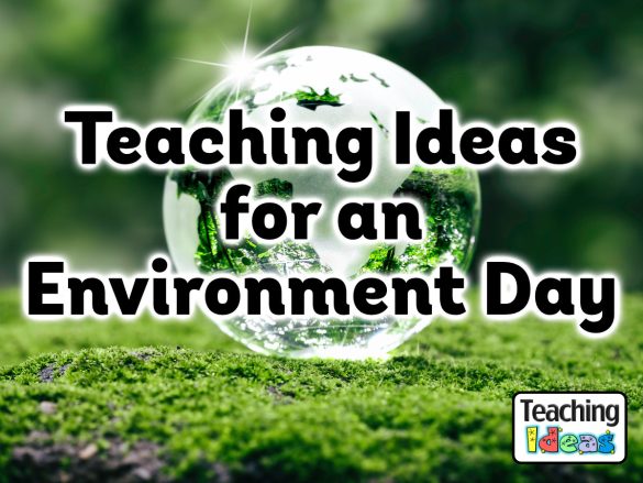 Teaching Ideas for an Environment Day