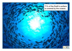 Under the Sea Image Pack