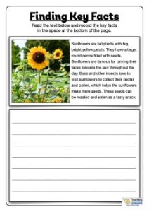 Finding Key Facts 