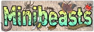 Minibeasts Banner