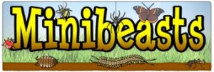 Minibeasts Banner