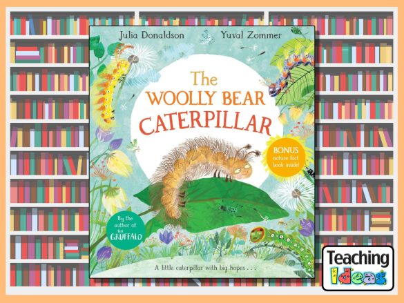 The Woolly Bear Caterpillar