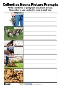 Collective Nouns Picture Prompts