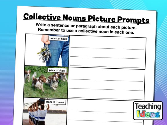 Collective Nouns Picture Prompts