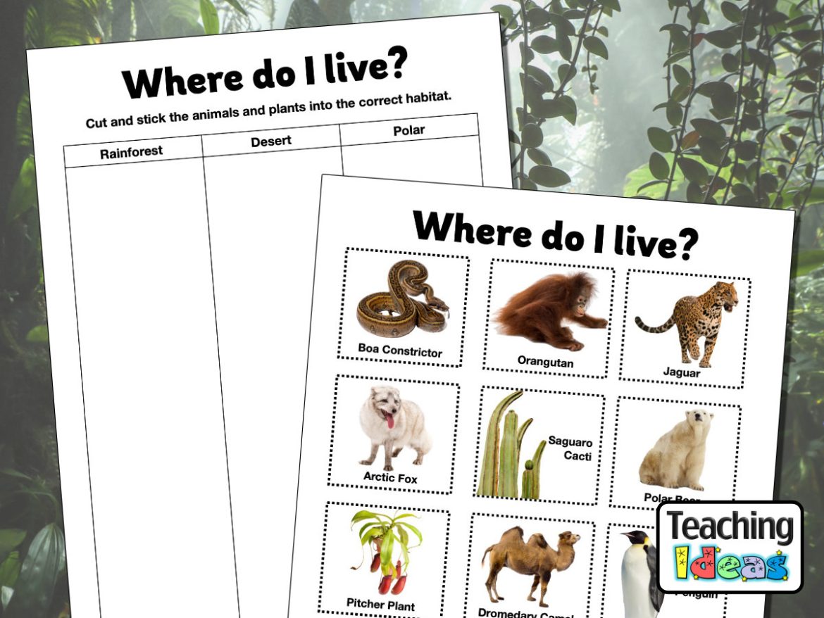 Resource-WhereDoILive