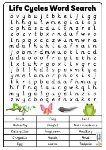 Life Cycles Word Search