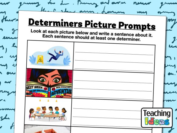 Determiners Picture Prompts