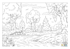 Water Colouring Pages